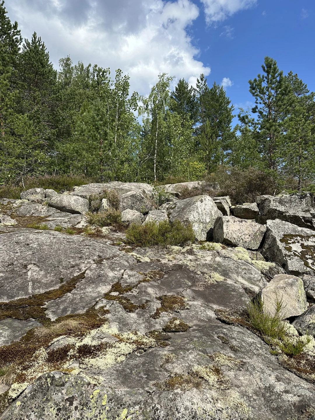 Заказали экскурсию через Трипстер. Сразу пришло подтверждение, внесли предоплату. В сообщении о подтверждении оплаты было указано