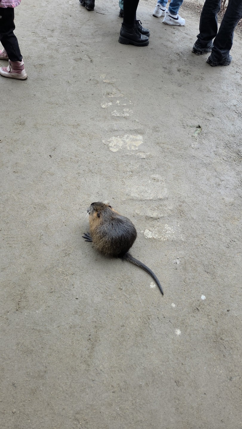 Экскурсия по Праге с Дарьей была великолепной. Спасибо большое — мы остались довольны и открыли для себя много нового и интересного💯👌