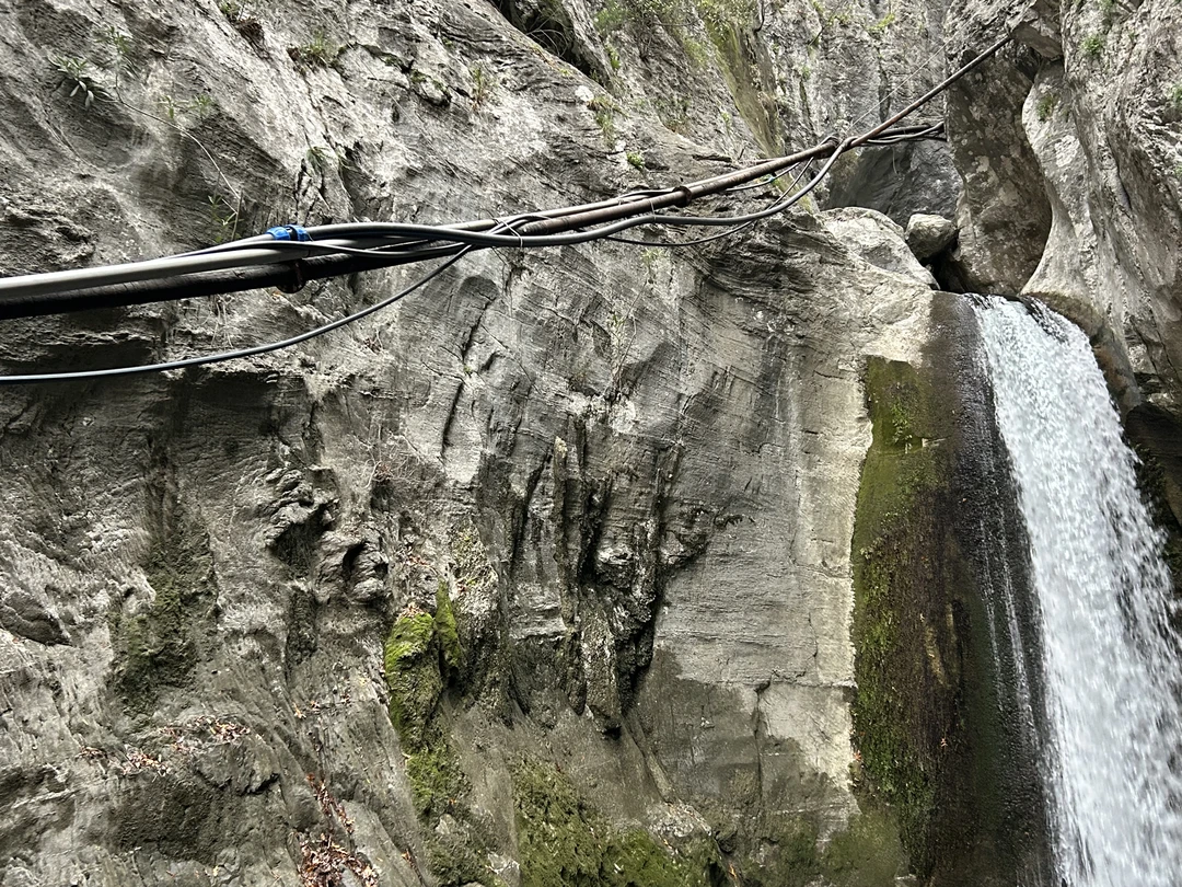 Гида нет, только водитель.