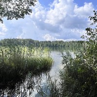 Фото отзыва 4: экскурсия "Озеро Светлояр и сырная  экоферма"