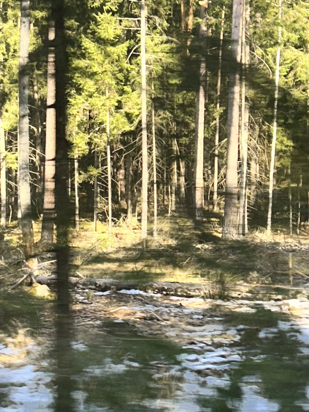 Великолепная экскурсия!