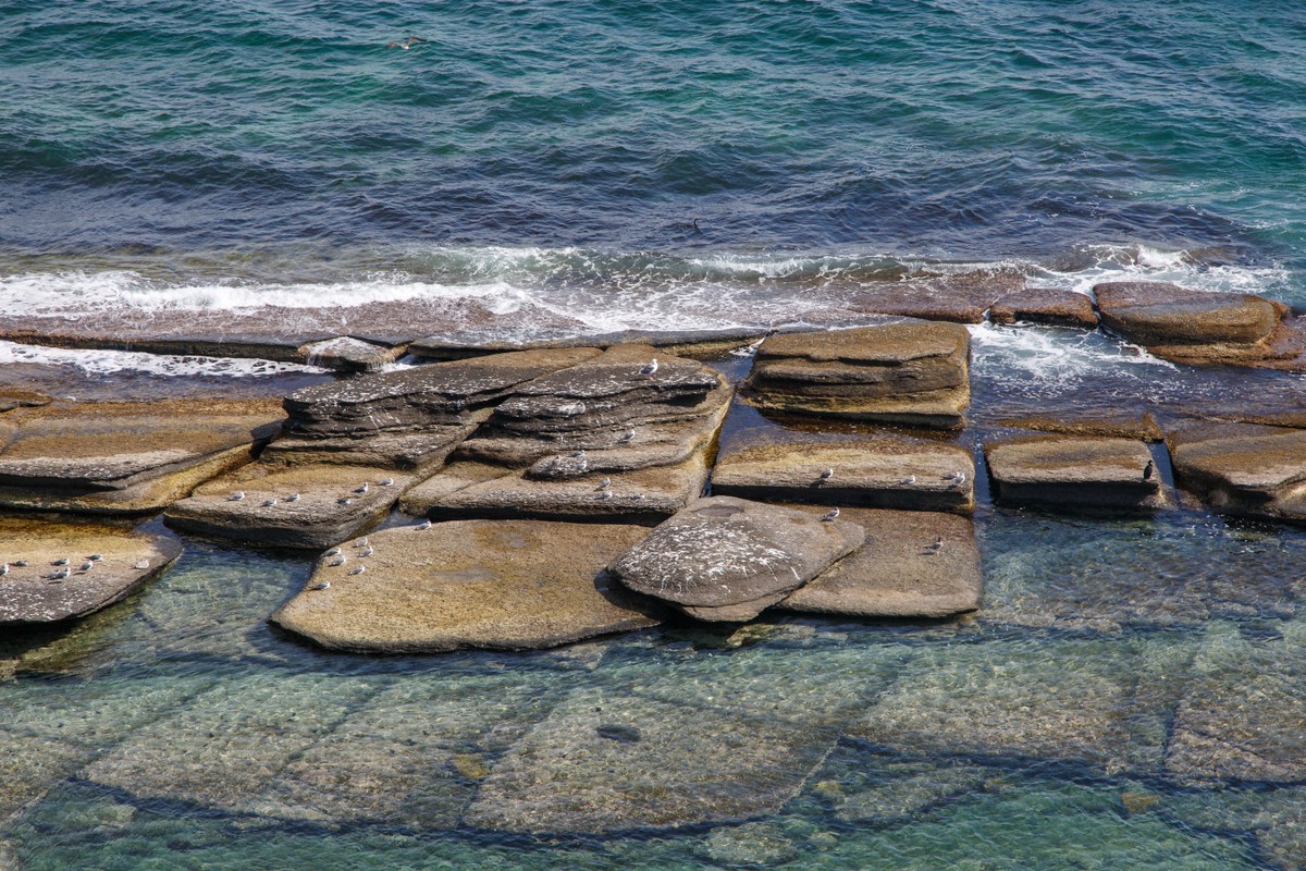 Владивосток и остров Русский: прогулка с фотографом (26/26)