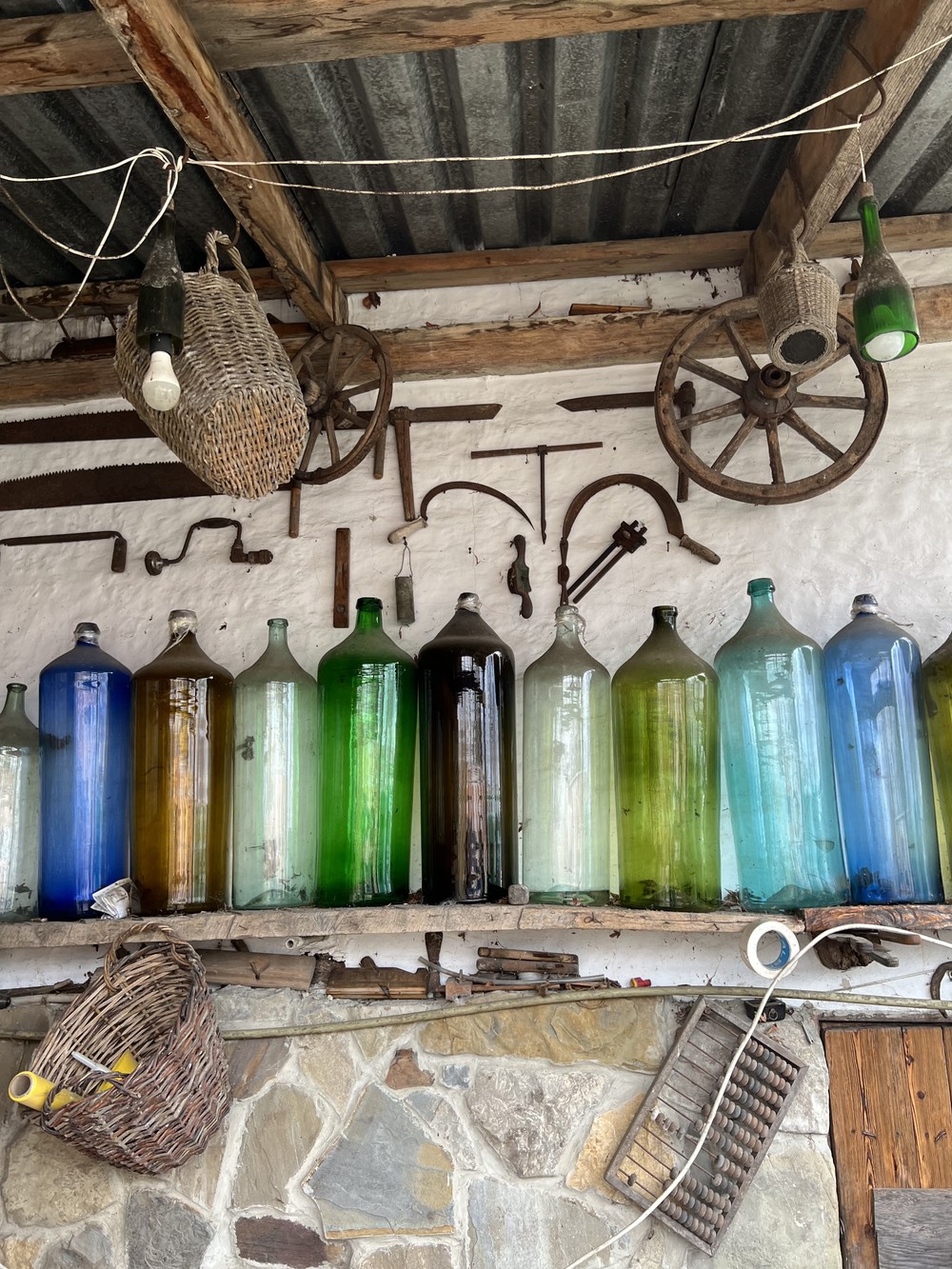 Из Сочи — на экоферму, винодельни и чайные плантации (6/10)