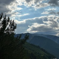 reviews img