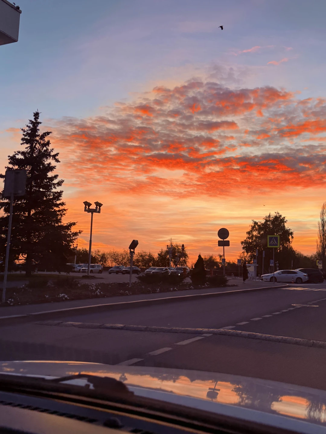 Мария прекрасна!) во-первых она пунктуальна. Во-Вторых она любит свой город и понимает о чем рассказывает! В