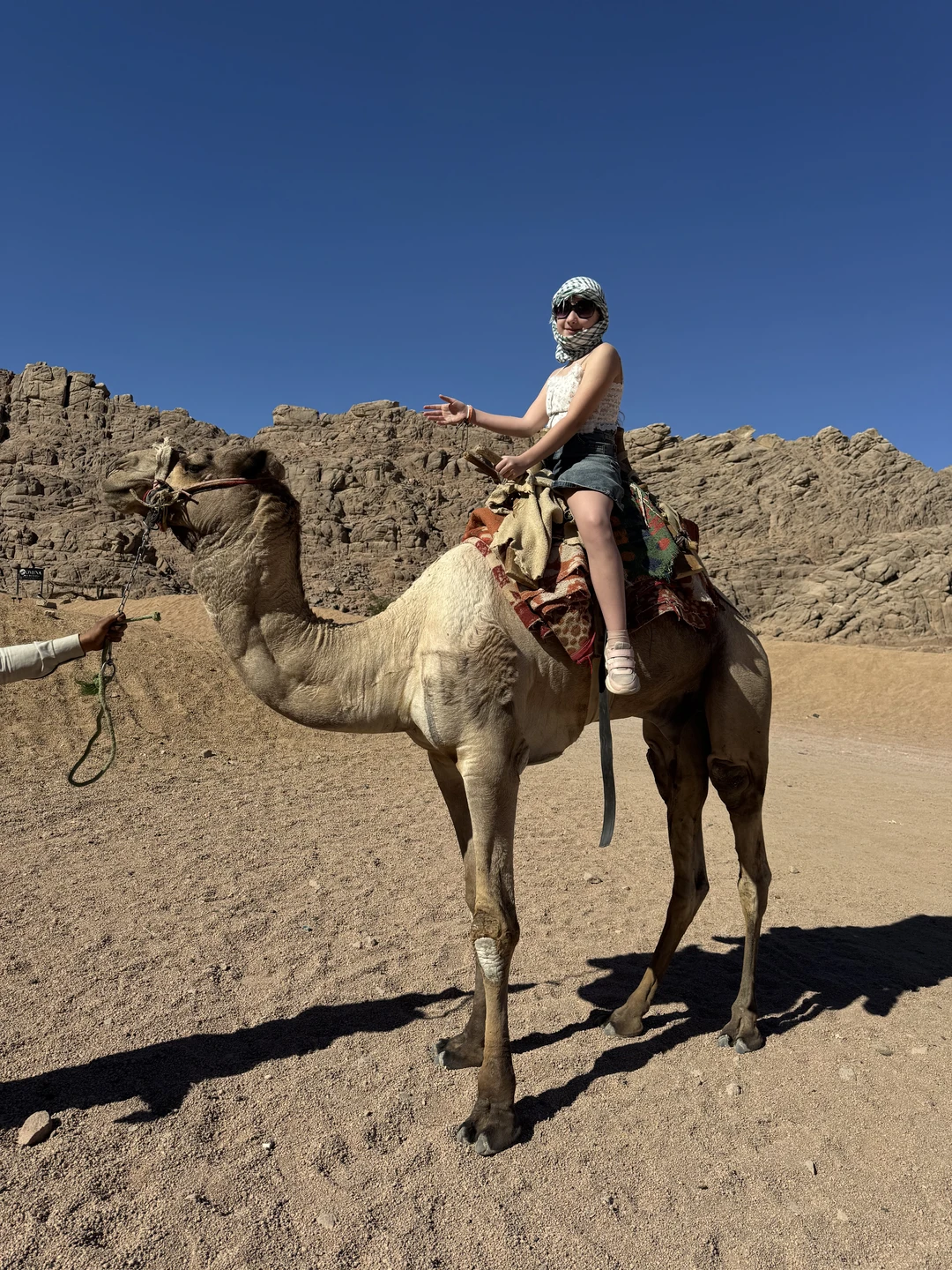 Все отлично, покатались классно, ребенка на верблюде прокатили))