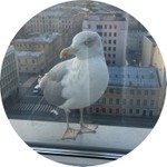 Марина