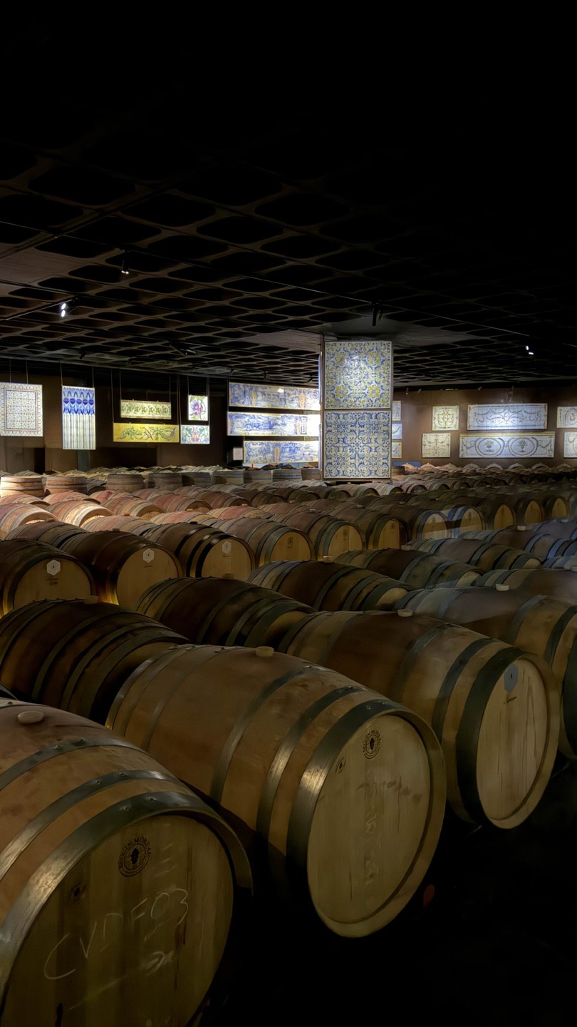 Отличная экскурсия, было очень интересно и информативно