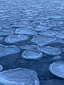 Фото отзыва 1: экскурсия "Лучшее на Русском острове: охватить самое важное за 1 день"