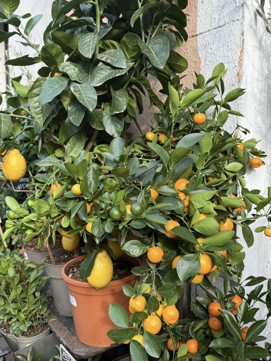 Замечательное путешествие по Мадриду Педро Альмадовара! Спасибо Андрей! Мы узнали не только много нового о режиссере