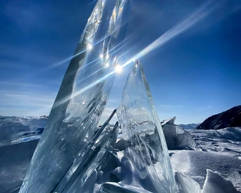 День отдыха