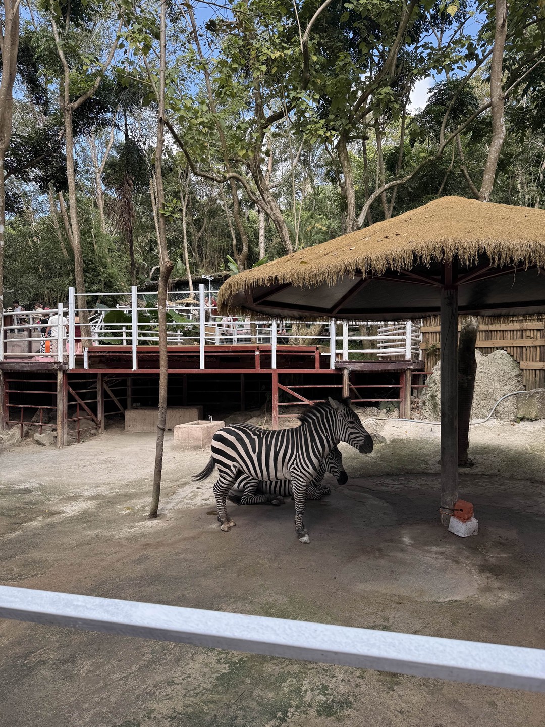 Большое спасибо Артему за интересную экскурсию, сопровождение и еще на комфортабельном авто!) обязательно рекомендую!)