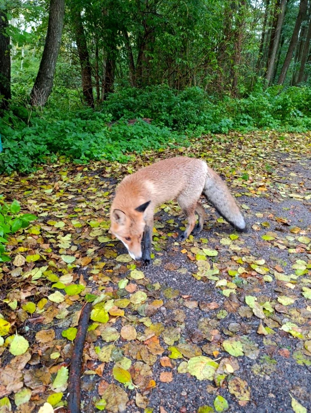 Знаковые места Куршской косы