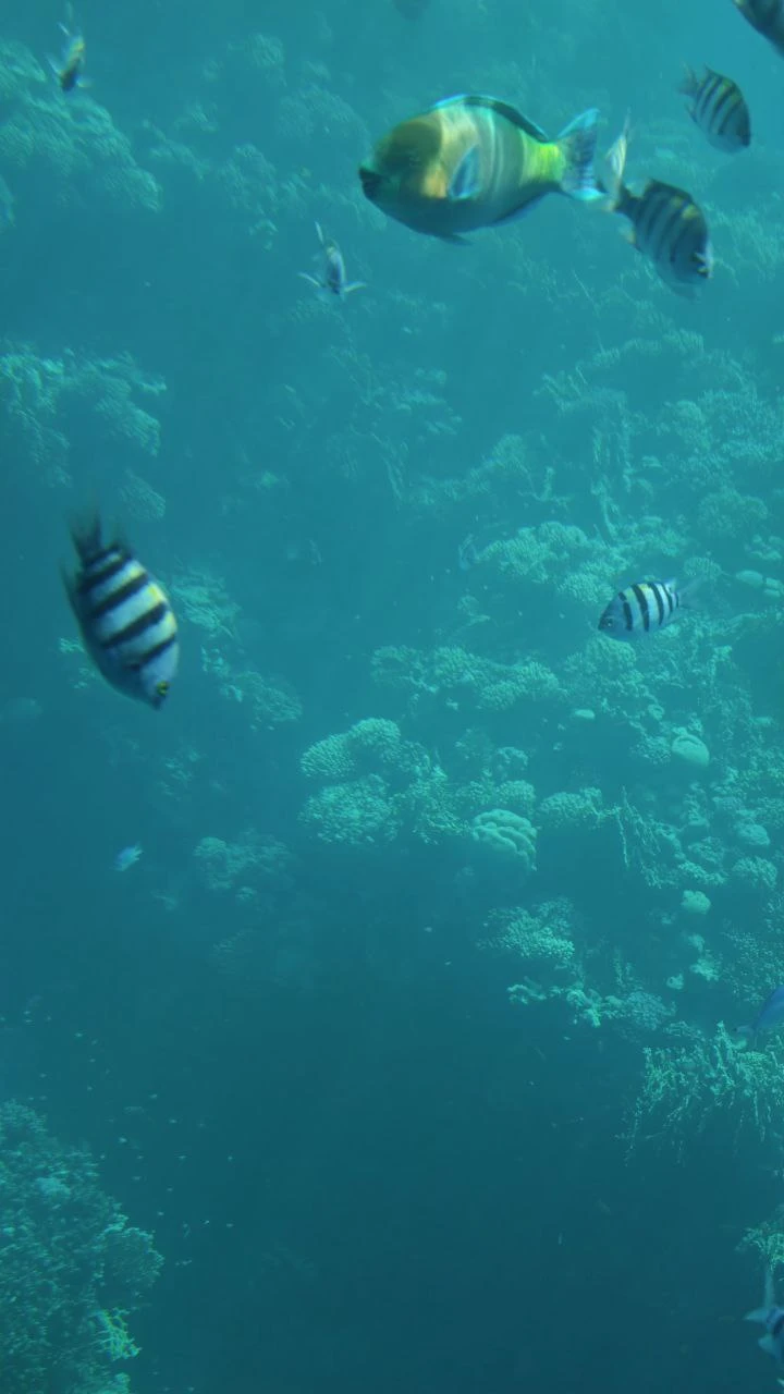 Очень удобный индивидуальный трансфер из отеля - прислали фото машины и были на связи пока мы