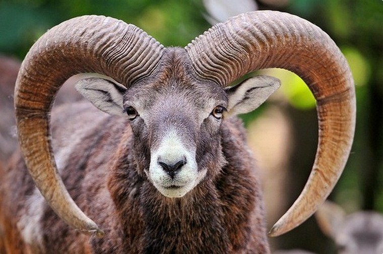 Монастыри Нораванк и Татев + канатная дорога «Крылья Татева»