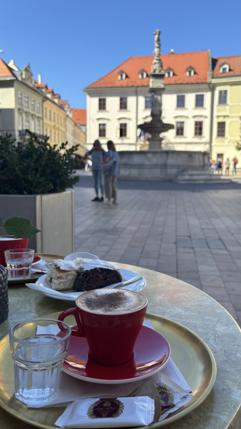 Понравилась экскурсия, не ожидали, что старый город Братислава такой красивый и интересный, с очень большой историей