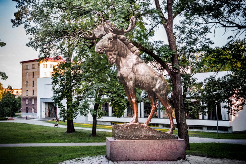Фото экскурсии 13