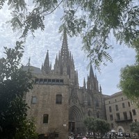 reviews img
