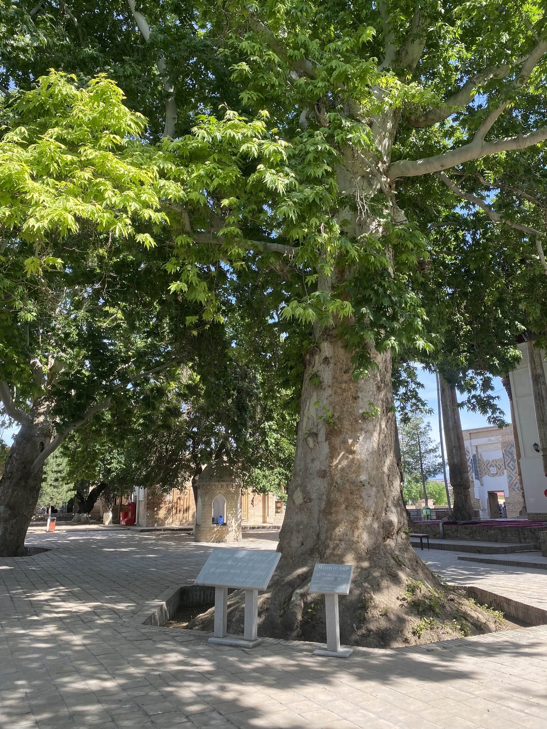 В Шахрисабз - на родину Тамерлана (Мария)