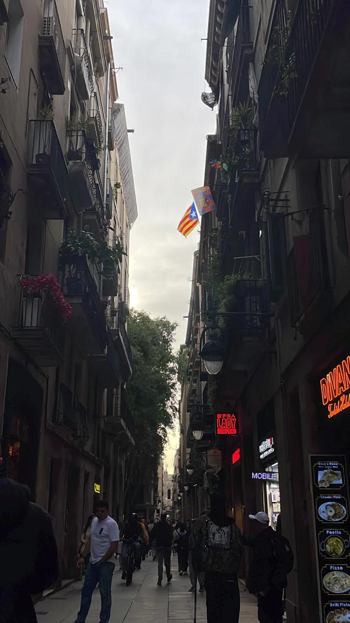 В Барселоне много гидов и экскурсионных маршрутов предлагающих путешественникам много чего, поэтому, как же мы были