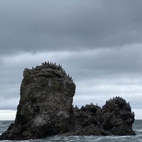 reviews img