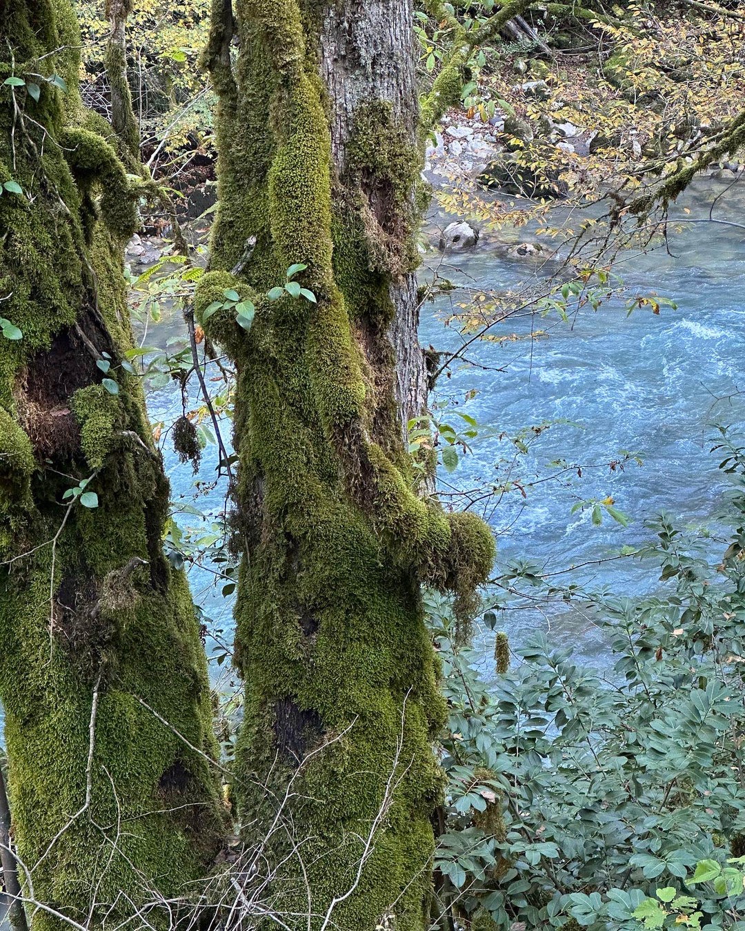Это наша вторая поездка с друзьями в Абхазию. И думали, ну чем нас удивить…? Мы же