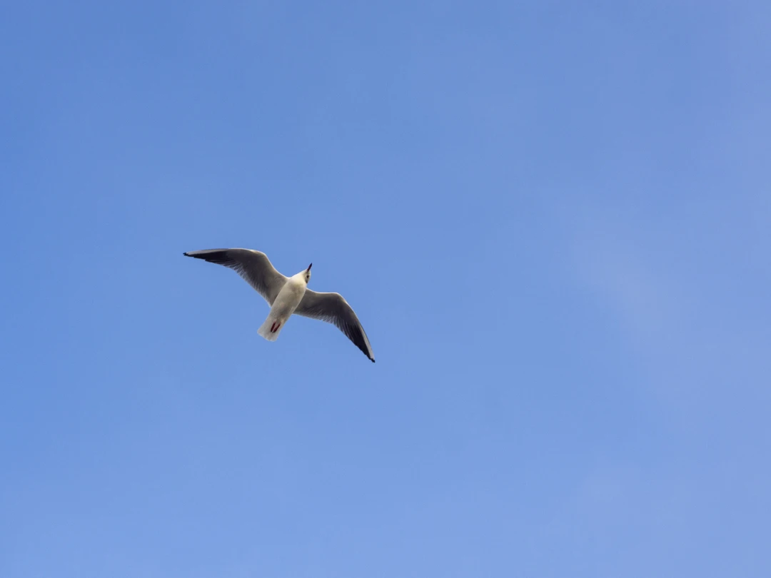 Отличная экскурсия. Рекомендую ее не сразу после прибытия в Стамбул, а после экскурсий по городу. Это
