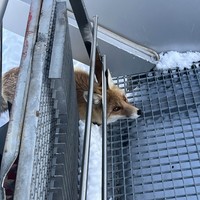 Отзыв о экскурсии "Привет, Эльбрус! Поездка в группе из Пятигорска" — фото 1
