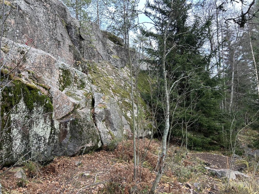Виды завораживают,экскурсия понравилась,2 часа-это то что нужно,успели посмотреть острова,шхеры,увидеть бесконечную даль Ладоги. Капитан нашего судна-супер!