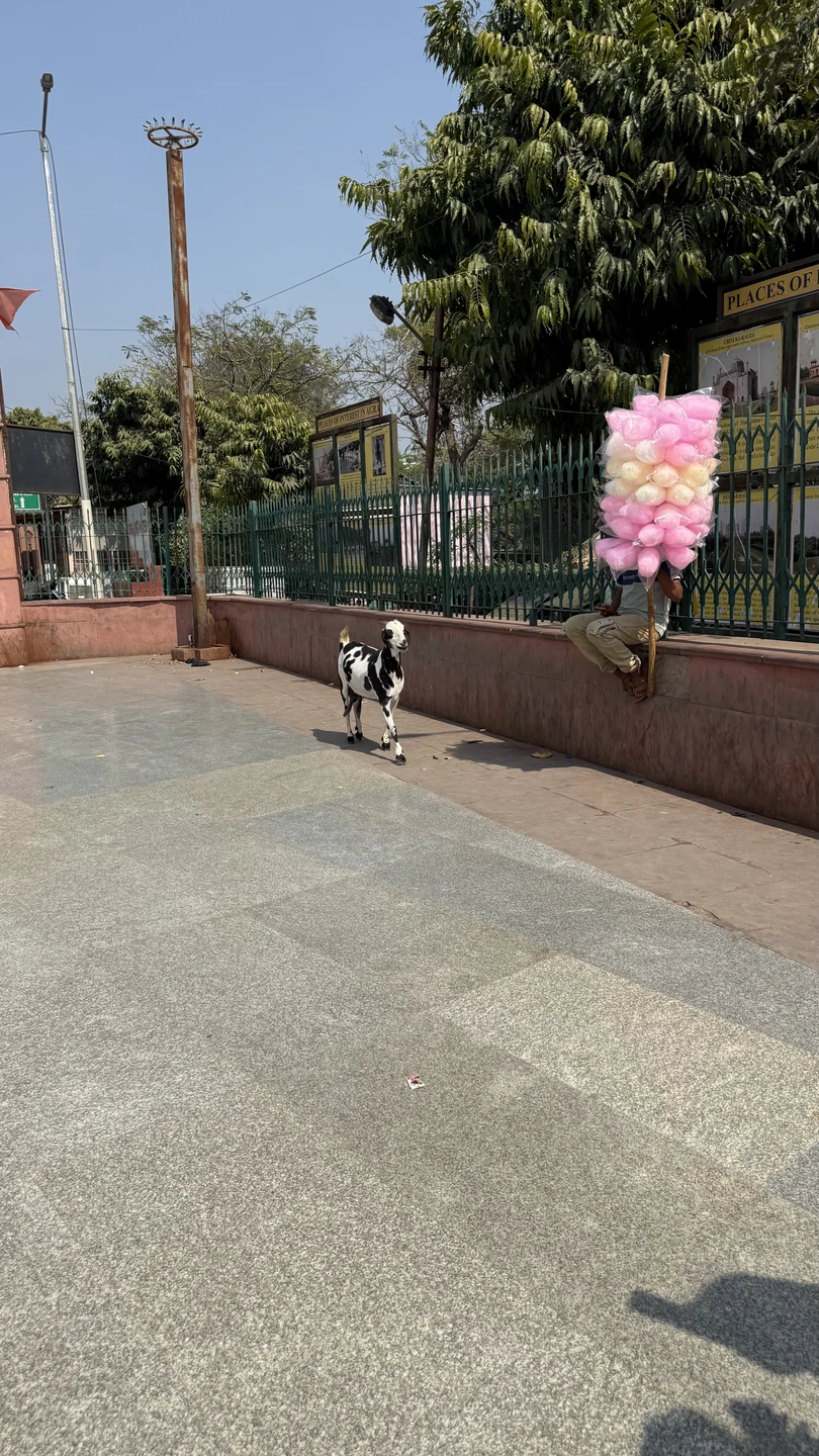 Если вы планируете с подругами путешествия в Агру. От души рекомендую эту экскурсию! Было очень интересно