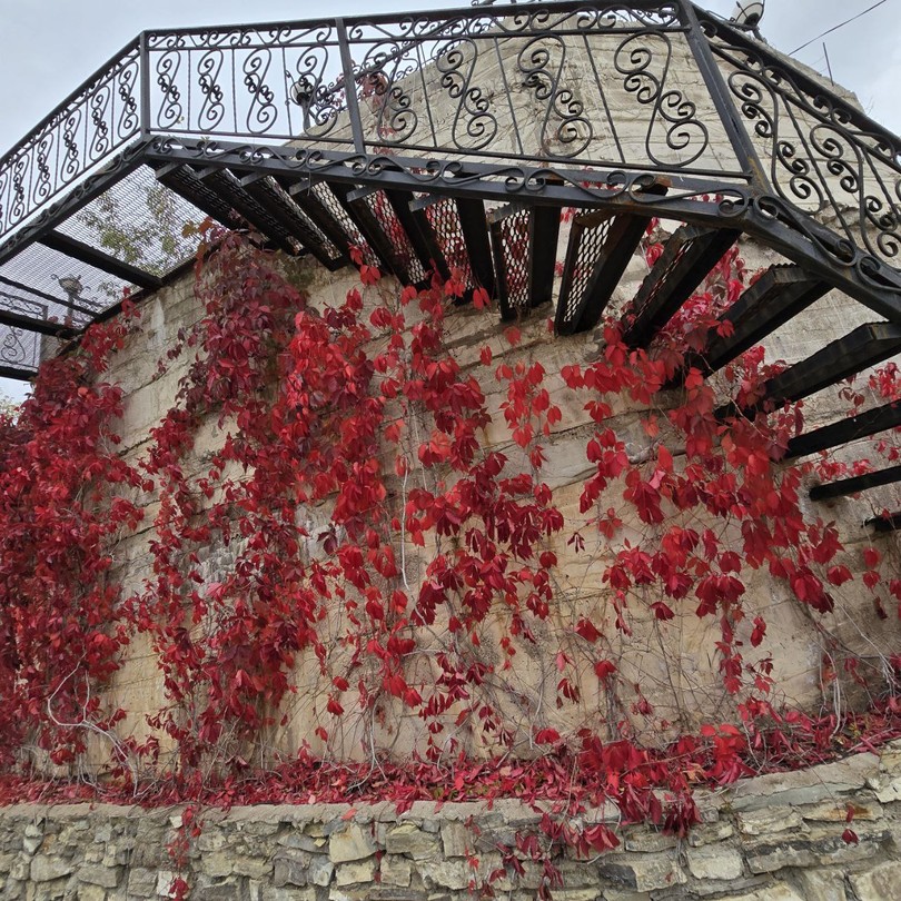 Экскурсия «Башкирское предуралье: от озерных глубин до горных вершин» превзошла все мои ожидания! Это удивительное путешествие