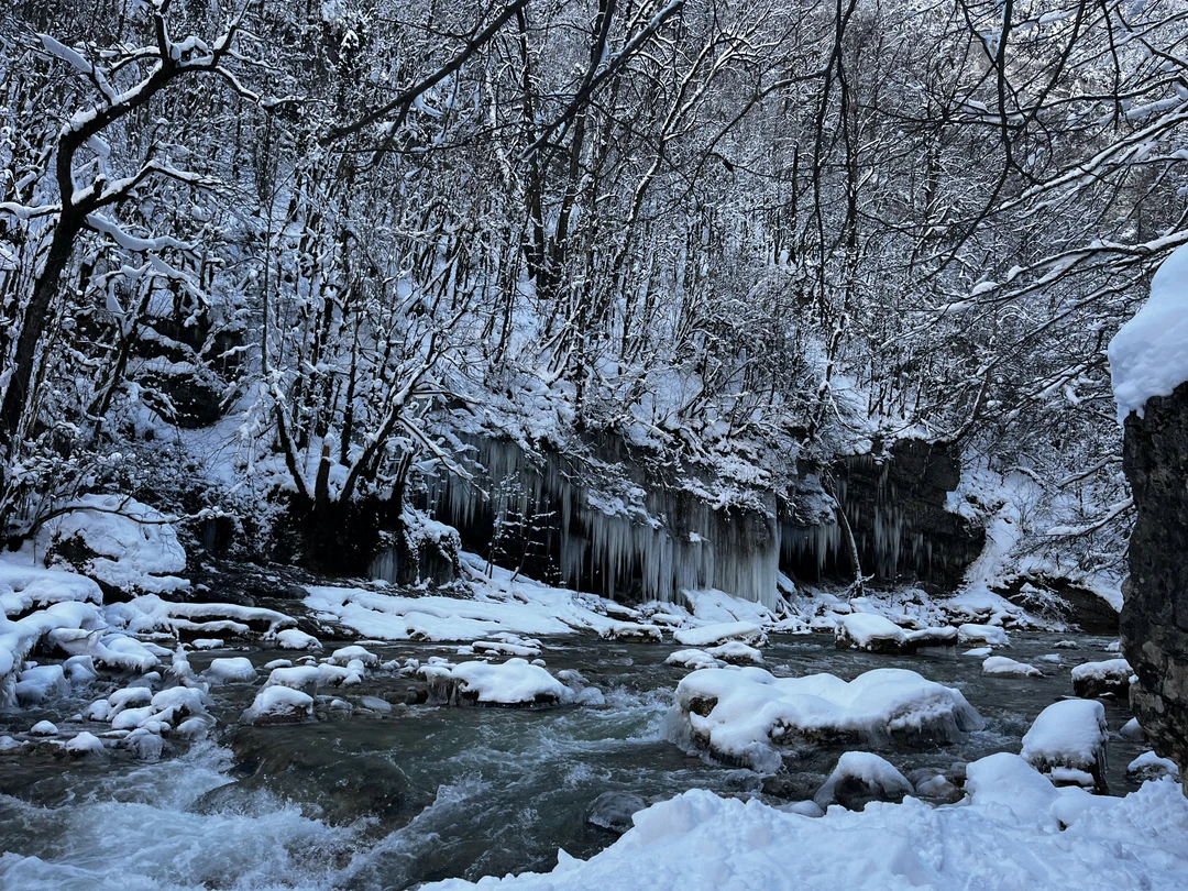 Экскурсия замечательная, нам с девушкой очень понравилось, когда будем приезжать в этот чудный город обязательно будем