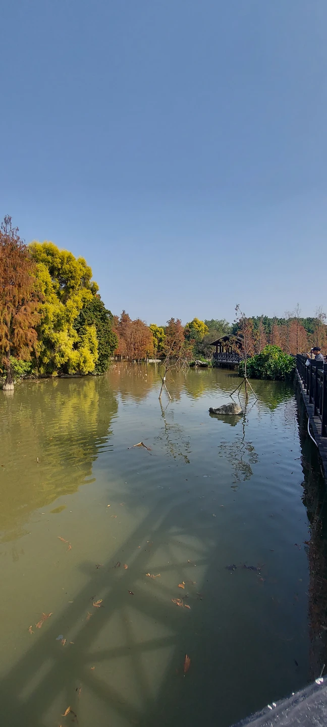 Были с Антоном на обзорной экскурсии по Гуанчжоу. В спокойном темпе посетили все самые известные и