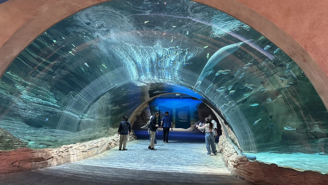 Брали на 3-х человек данную экскурсию. Экскурсию проводил гид=водитель Фируз на новом автомобиле Киа Карнивал. Забрал