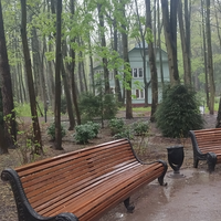 Фото отзыва 2: экскурсия "Литературное Переделкино"