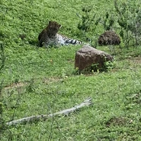 Фото отзыва 2: экскурсия "Галле и национальный парк Яла"