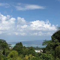 Фото отзыва 1: экскурсия "Сейшелы, которым есть чем удивить"