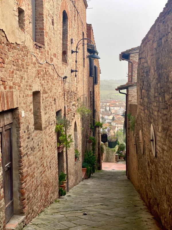 Яды и алхимия: секретная жизнь средневековой Флоренции