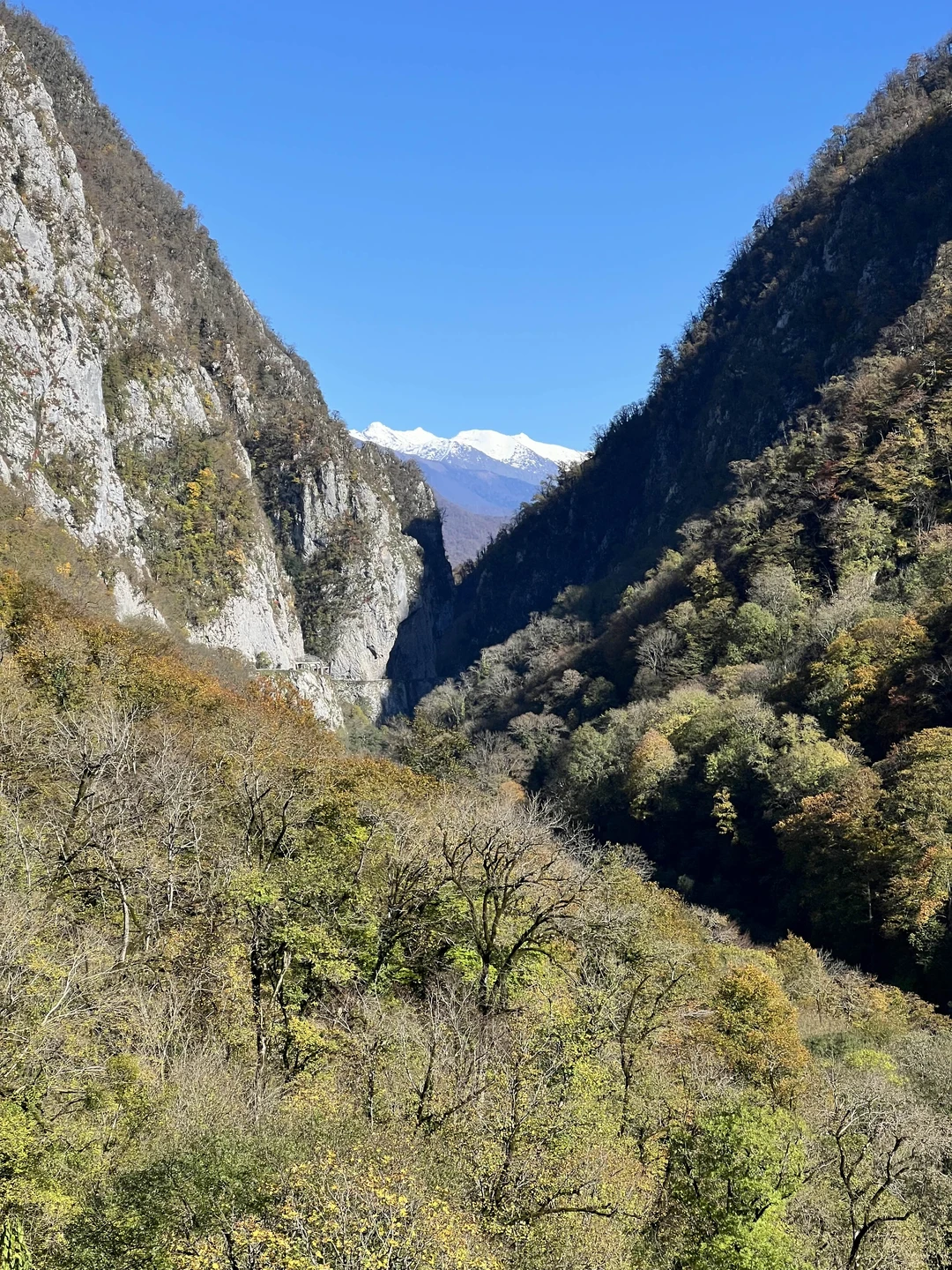 Отличная прогулка по заброшенной дороге в горах Красной поляны по осенним, залитым солнцем склонам, с заездом