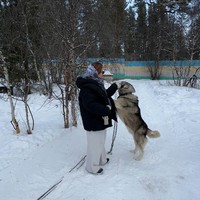Фото отзыва 1: экскурсия "Из Мурманска в деревню саамов"