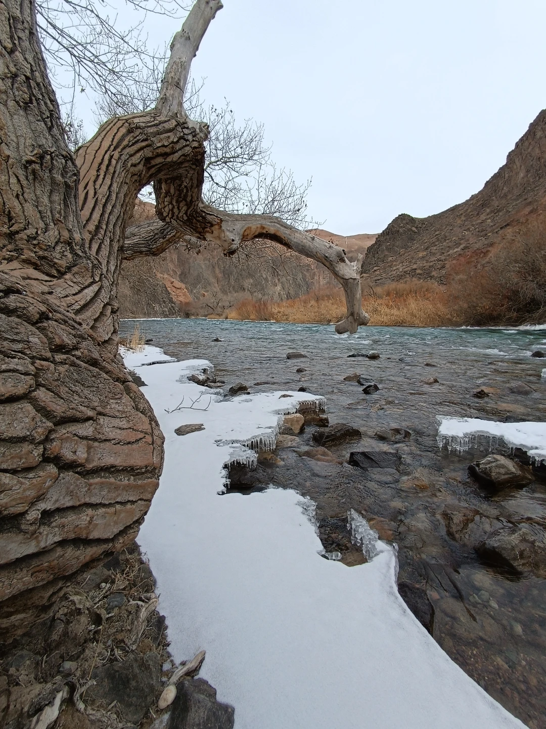 Природа Казахстана: 5 лучших мест за 1 день из Алматы (Михаил)