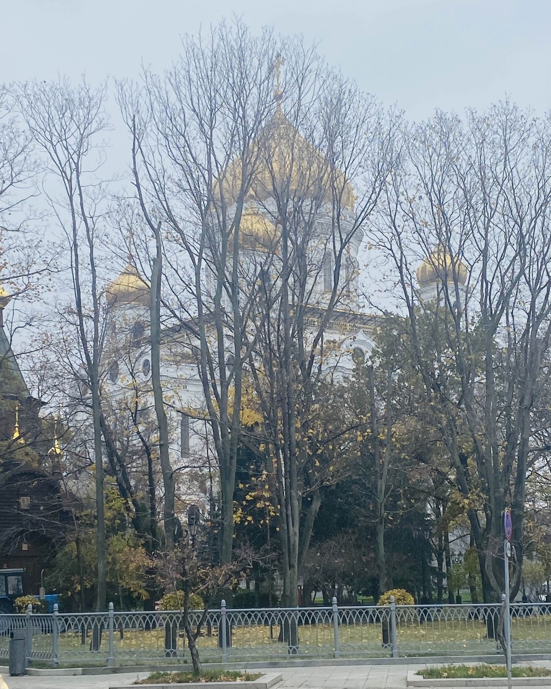Спасибо Ольге за интересную экскурсию, за любопытные факты.