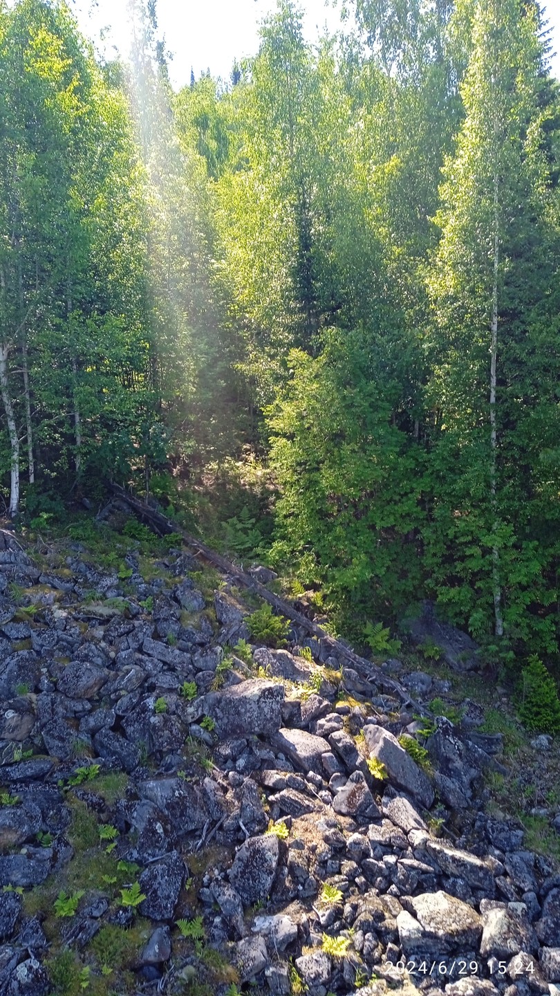 На экскурсию "Байкальские джунгли" мы попали в первый день своего пребывания на Байкале. После этой экскурсии