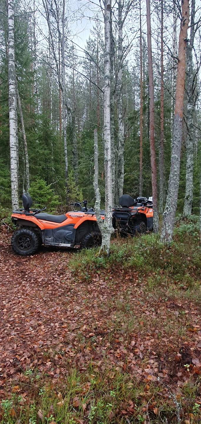 Я небольшой любитель подобных покатушек, но моя подруга настояла на данном мероприятии в свой ДР