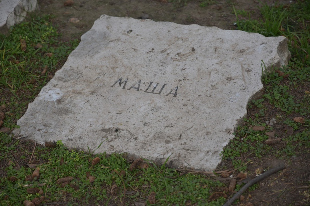 Это была интереснейшая историческая экскурсия. Она включает не только историю белой эмиграции, а в целом рассказывает