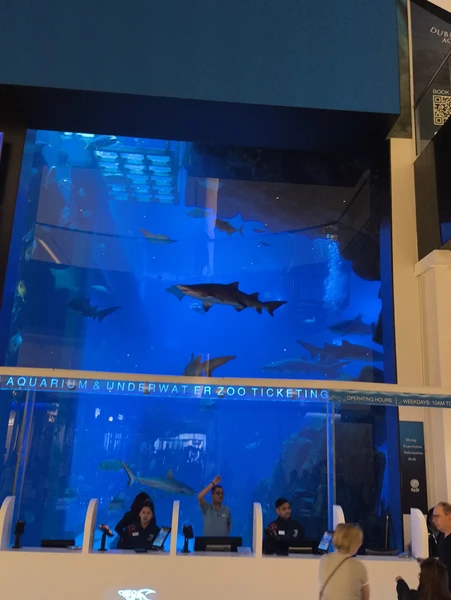 На основе предложений я сделал выбор мест которые мы посетили, моей семье понравилось, интересная экскурсия вышла