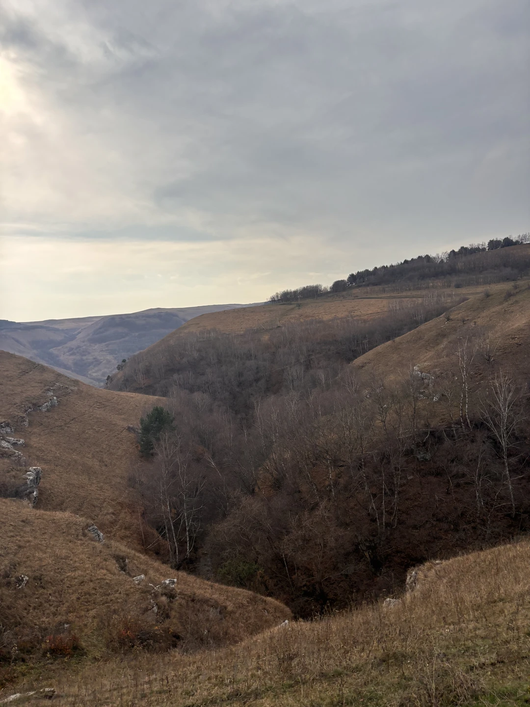 Конная прогулка недалеко от Кисловодска подойдет как для тех, кто любит и знает лошадей, так и