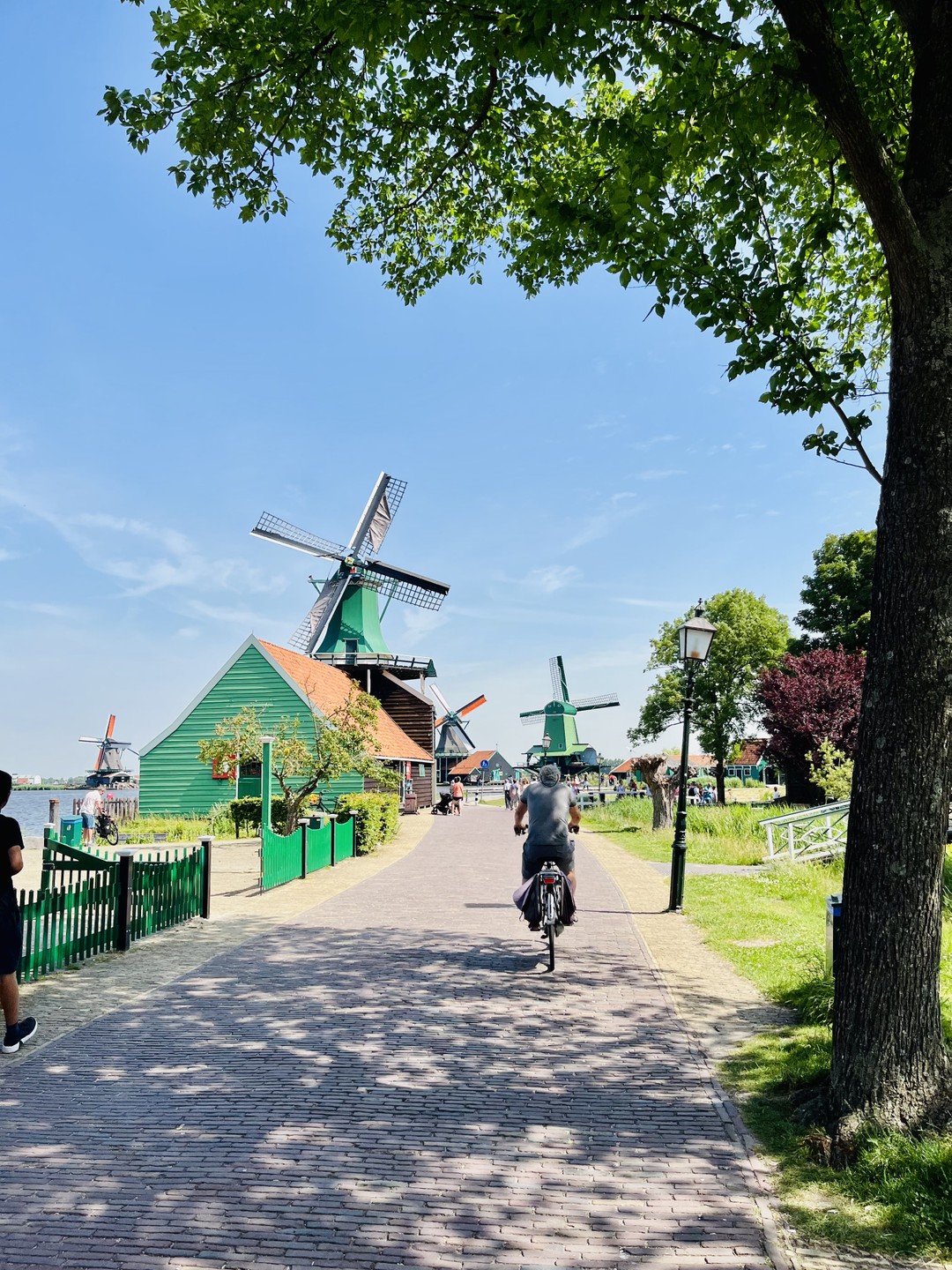 Прекрасная экскурсия, одна из самых лучших из всех наших путешествий, бронируйте, не пожалеет ни минуты. Влюбила нас в Нидерланды!