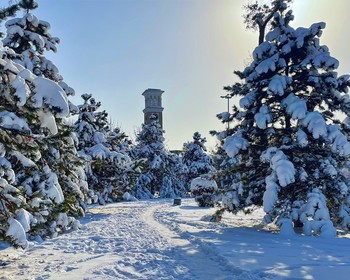Самарканд - Ташкент. Знакомство с достопримечательностями столицы