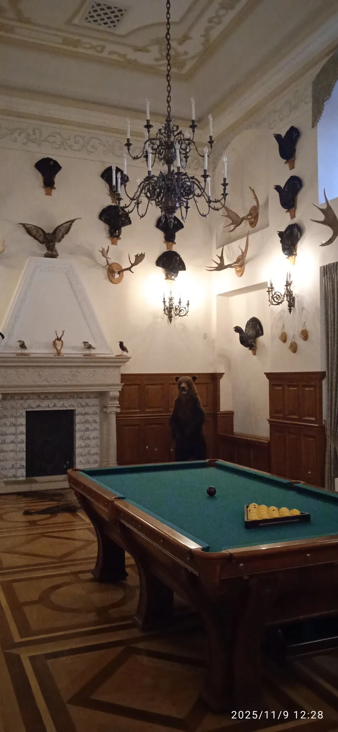 Замки Беларуси: групповая экскурсия в Мир и Несвиж из Минска (Ольга)